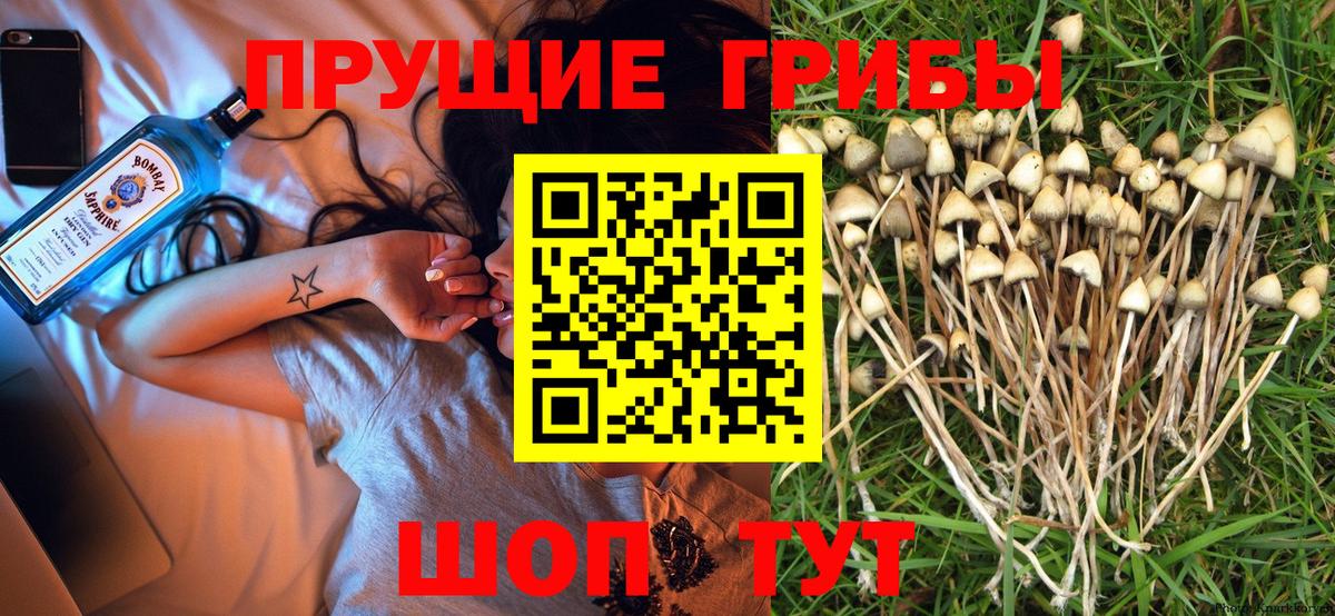 Галлюциногенные грибы Magic Shrooms  где можно купить   Ялта  Вход с VPN 
