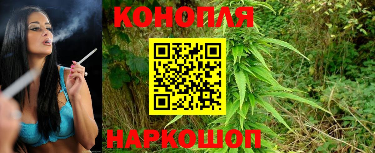Шишки марихуана тримм Ялта
